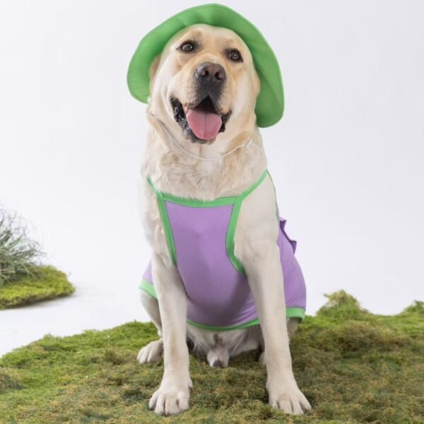 Dog clothes spring and summer cooling ice bag cooler adjustable leash undershirt small and medium-sized dogs pet dog clothes - 图片 17