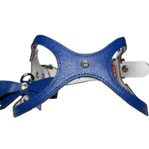 Olympic Blue + Laser Red