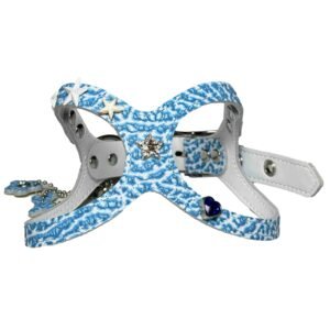 Blue-and-White Porcelain